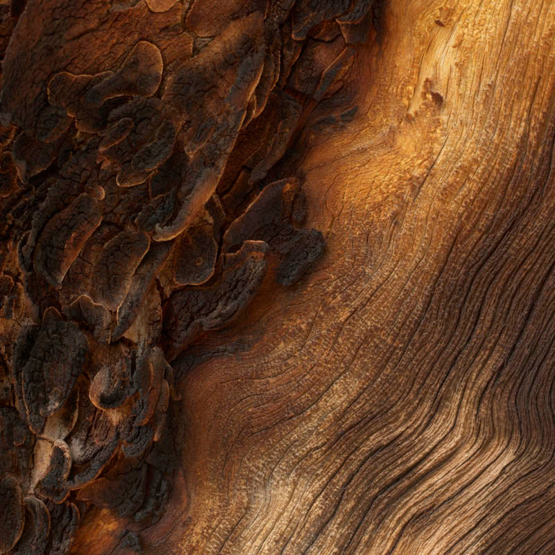 madera-de-cashmeran-corazon