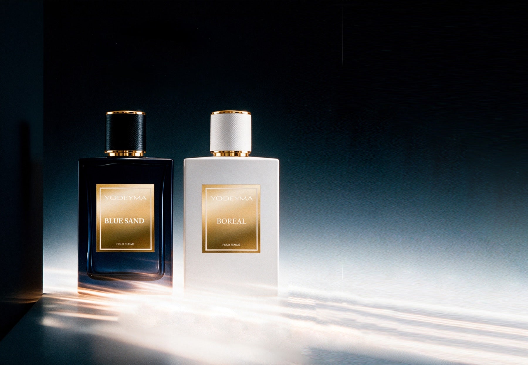DescubreThe Niche Collection